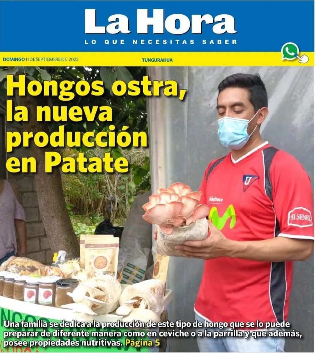 Producción de hongos Ostra en la provincia de Tungurahua